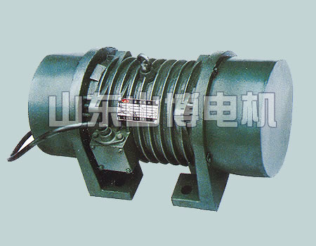 YJZ system of vibration source three-phase asynchronous motor